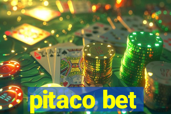 pitaco bet